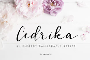 Cedrika: A Designer’s Honest Review