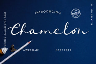 Chamelon: A Handwritten Typeface for Editorial Design