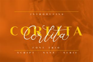 Corlita Trio: The Modern Typeface for Clear Campaigns