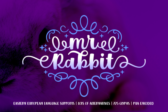 Mr. Rabbit: The Bold Script Font for Campaigns