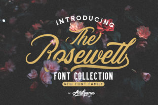 Rosewell Family: The Versatile Typeface for Modern Campaigns