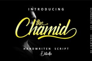 The Chamid Typeface for Modern Editorial Design