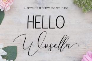 Wosella Duo: A Bold Script Font for Web Design